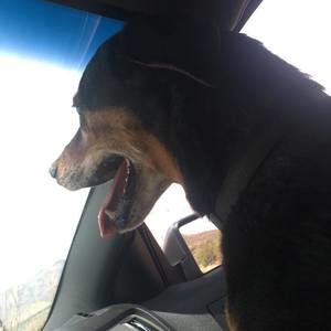 Meet your Posher, Jizell